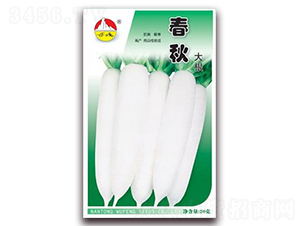 ������-�}���N��-�|���N�I(y��)