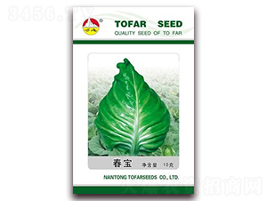 ����-���{(l��n)�N��-�|���N�I(y��)