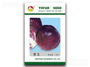 ����-���{(l��n)�N��-�|���N�I(y��)