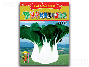 �۷N���_���~��ײˣ�111��-�ײ˷N��-���S�N�I(y��)