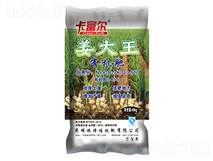 �������ЙC��-ʩ�ؼ�