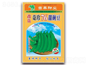 改良奇珍76甜碗豆-豌豆種子-吉豐種業(yè)