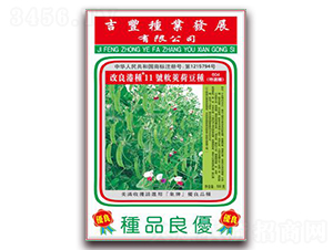 改良港種11號(hào)軟莢荷豆種(604特選種)-荷蘭豆種子-吉豐種業(yè)