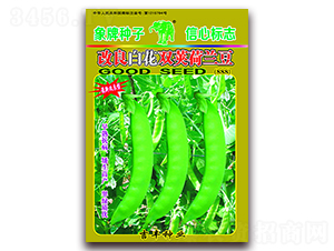 改良白花雙莢荷蘭豆（888）-荷蘭豆種子-吉豐種業(yè)