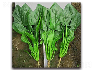 709-���˷N��-�G�x�N�I(y��)