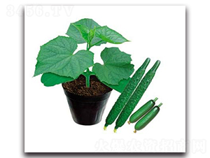 PA10-��ľ�N��-�G�x�N�I(y��)