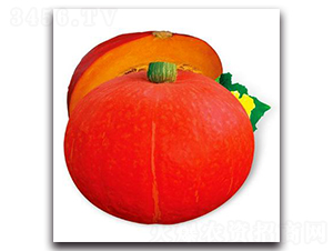 PA07-�ϹϷN��-�G�x�N�I(y��)