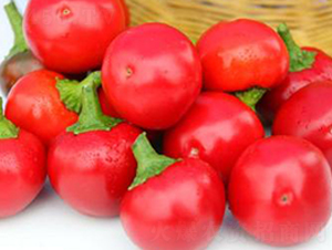 PA18-�����N��-�G�x�N�I(y��)