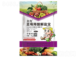 藍(lán)莓降酸解鹽寶-皇海
