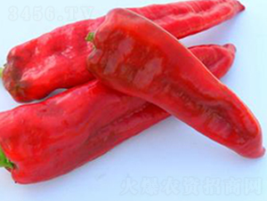 PA09-�����N��-�G�x�N�I(y��)