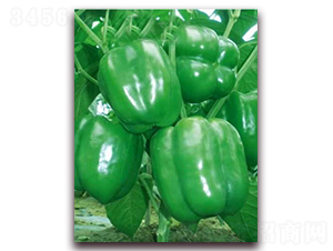 PA07-�����N��-�G�x�N�I(y��)