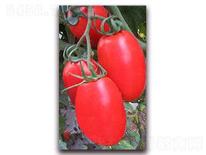 TA15-���ѷN��-�G�x�N�I(y��)