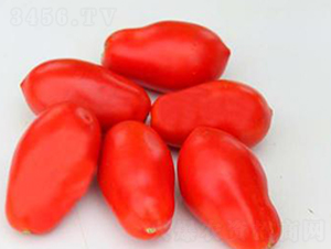 TA14-���ѷN��-�G�x�N�I(y��)