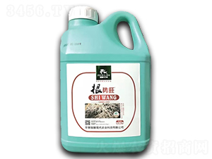 ������-����