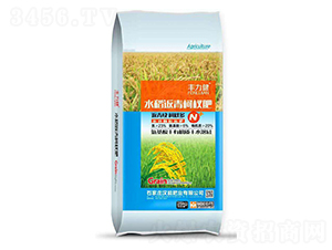 水稻返青柯杈肥-豐力健-漢能肥業(yè)