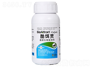 ɣ������ʳ�T��-���D�`-�٘�(l��)��