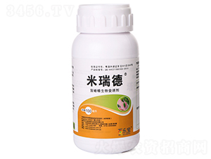 ä�������ʳ�T��-�����-�٘�(l��)��