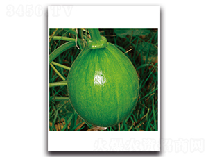 �������-�ϹϷN��-���}�r(n��ng)�I(y��)