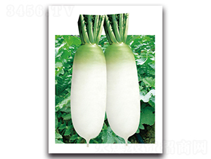 �ഺ�}��-�}���N��-���}�r(n��ng)�I(y��)