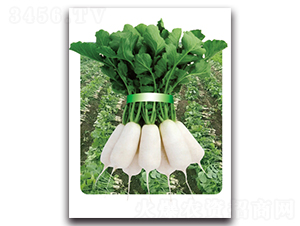 �r(n��ng)�Ґ�(��i)��̖(h��o)-�}���N��-���}�r(n��ng)�I(y��)