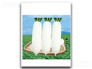 ������ѩ-�}���N��-���}�r(n��ng)�I(y��)