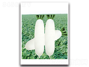 ��������-�}���N��-���}�r(n��ng)�I(y��)