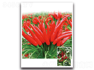 ���3̖(h��o)-�����N��-���}�r(n��ng)�I(y��)