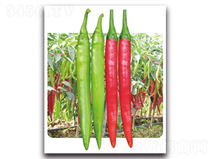 ���ί-�����N��-���}�r(n��ng)�I(y��)