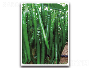 �ھ�9̖(h��o)-�����N��-���}�r(n��ng)�I(y��)