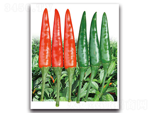 �F��1̖(h��o)-�����N��-���}�r(n��ng)�I(y��)