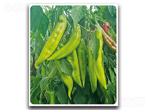 ����(l��)-�����N��-���}�r(n��ng)�I(y��)