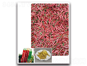 ��G���(y��ng)-�����N��-���}�r(n��ng)�I(y��)