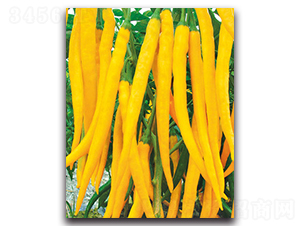 ��G�S���̖-�����N��-���}�r(n��ng)�I(y��)