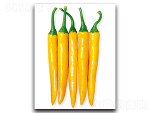 ��G�S��-�����N��-���}�r(n��ng)�I(y��)