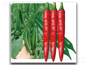 ��G�t��-�����N��-���}�r(n��ng)�I(y��)