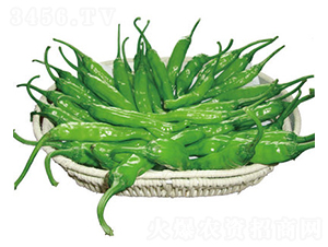 ��G����-�����N��-���}�r(n��ng)�I(y��)