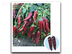 ��G����-�����N��-���}�r�I(y��)