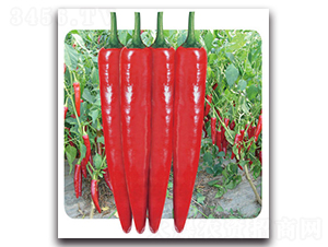 ��tһ̖-�����N��-���}�r�I(y��)