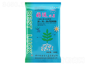 ����Ԫ��ˮ�ܷ���20-10-20+TE-���\(y��n)֮��-�Õr��