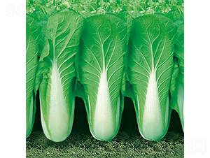 �֠����2̖-��˷N��-�֠��r(n��ng)�I(y��)