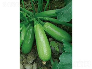 ����5̖-�����J�N��-�֠��r(n��ng)�I(y��)