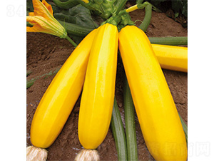 �֠����S-�����J�N��-�֠��r(n��ng)�I(y��)