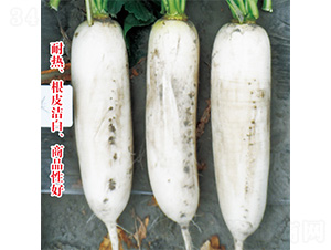 �׸���-�}���N��-�֠��r(n��ng)�I(y��)