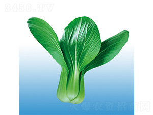 �֠�618-�๣�˷N��-�֠��r(n��ng)�I(y��)