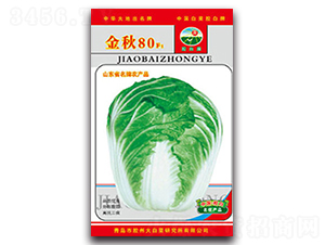 ����80F1-�ײ˷N��-�z��