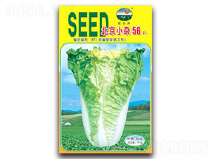 ����С�s56F1-�ײ˷N��-�z��