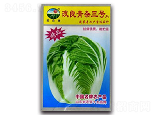 改良青雜三號(hào)F1-白菜種子-膠白