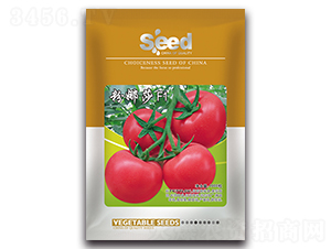 ����ɯ-���ѷN��-�S�T�N�I(y��)