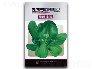 �G���Ͳ�-�๣�˷N��-�S�T�N�I(y��)