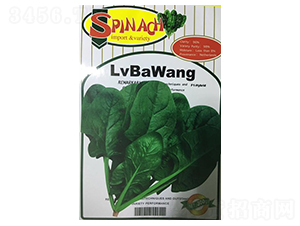 �G�����s��һ�����˷N��-ʢ���N��